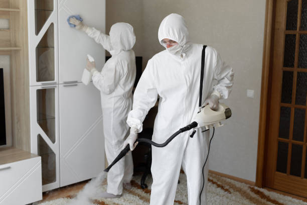 Best Mold Removal for HVAC Installations  in Walford, IA